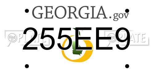 255EE9 Georgia License Plate