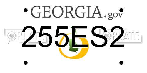 255ES2 Georgia License Plate