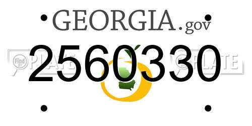 2560330 Georgia License Plate