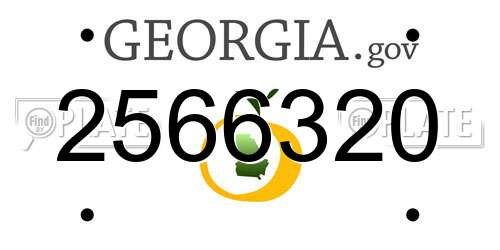 2566320 Georgia License Plate