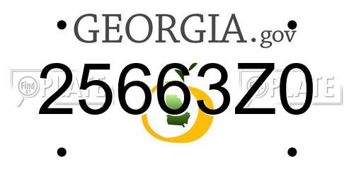 25663Z0 Georgia License Plate