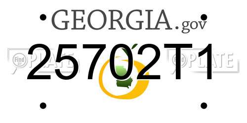 25702T1 Georgia License Plate