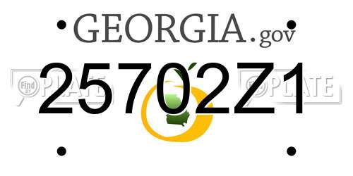 25702Z1 Georgia License Plate