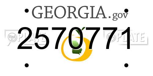 2570771 Georgia License Plate