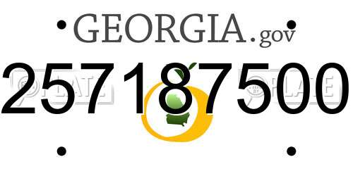 257187500 Georgia License Plate