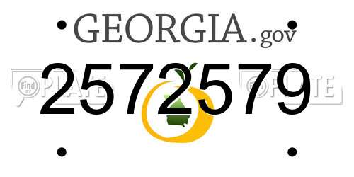 2572579 Georgia License Plate