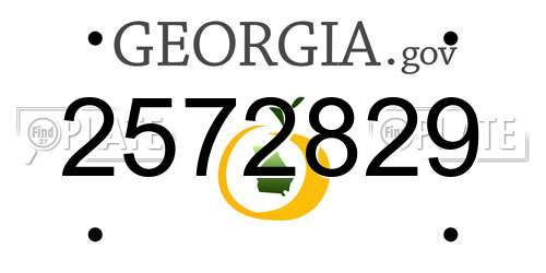 2572829 Georgia License Plate