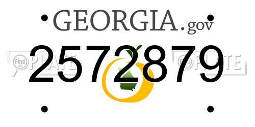 2572879 Georgia License Plate