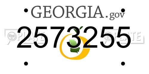2573255 Georgia License Plate