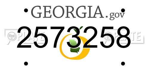 2573258 Georgia License Plate