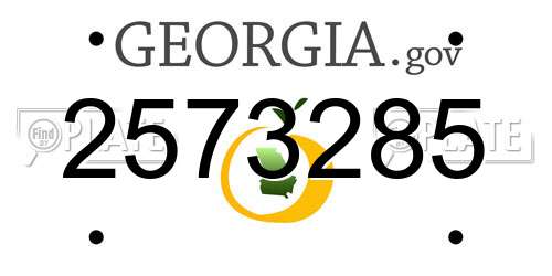 2573285 Georgia License Plate