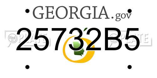 25732B5 Georgia License Plate