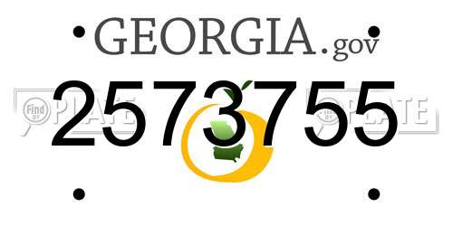 2573755 Georgia License Plate