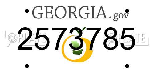 2573785 Georgia License Plate