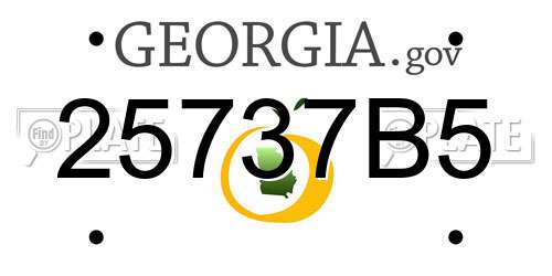 25737B5 Georgia License Plate