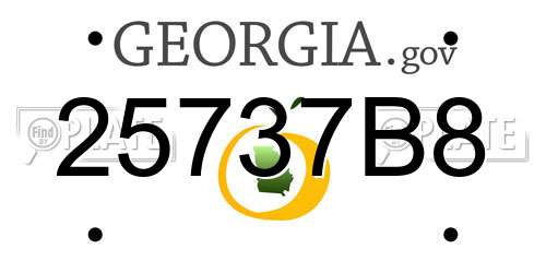 25737B8 Georgia License Plate
