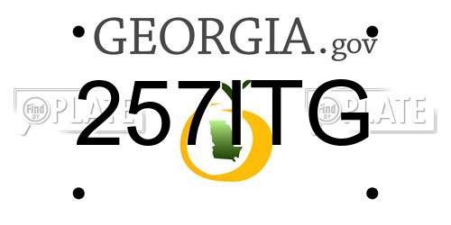 257ITG Georgia License Plate