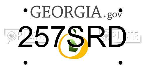257SRD Georgia License Plate