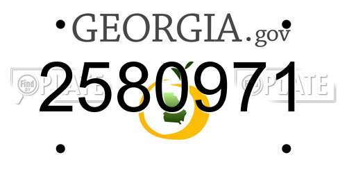 2580971 Georgia License Plate