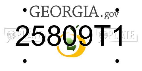 25809T1 Georgia License Plate