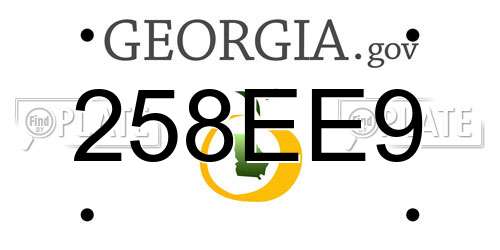 258EE9 Georgia License Plate