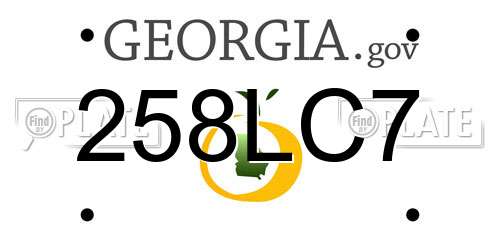 258LC7 Georgia License Plate