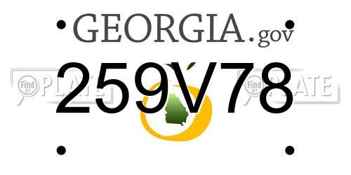259V78 Georgia License Plate