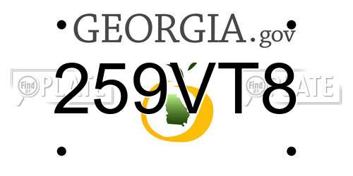 259VT8 Georgia License Plate