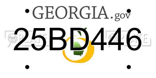 25BD446 Georgia License Plate