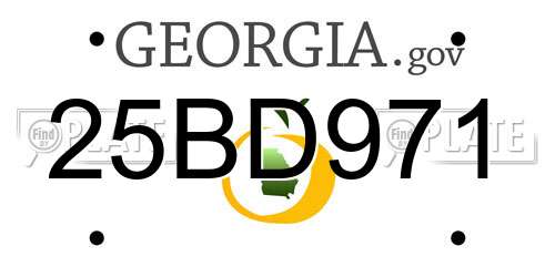 25BD971 Georgia License Plate