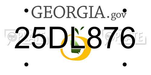 25DL876 Georgia License Plate