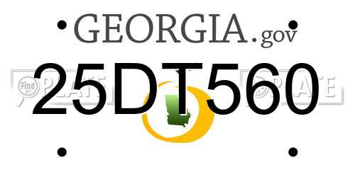 25DT560 Georgia License Plate
