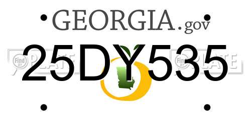 25DY535 Georgia License Plate