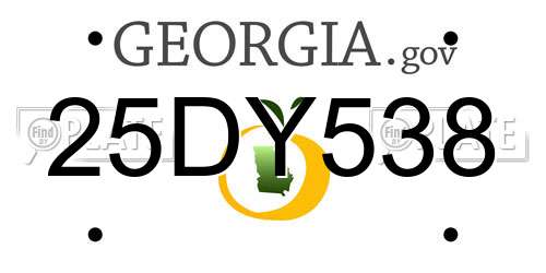 25DY538 Georgia License Plate