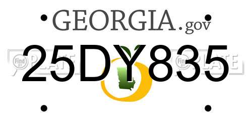 25DY835 Georgia License Plate