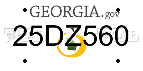 25DZ560 Georgia License Plate