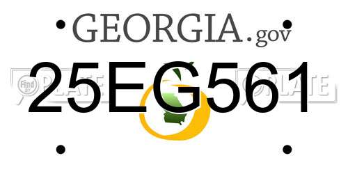 25EG561 Georgia License Plate