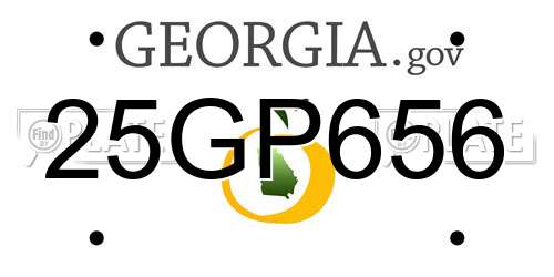 25GP656 Georgia License Plate