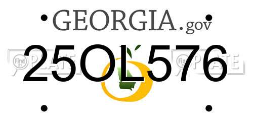 25OL576 Georgia License Plate