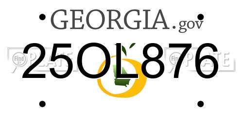 25OL876 Georgia License Plate
