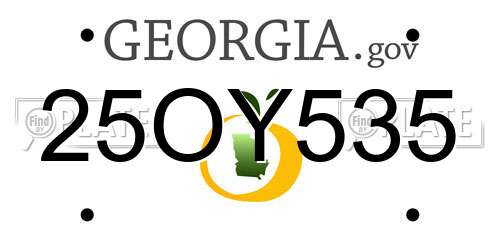 25OY535 Georgia License Plate