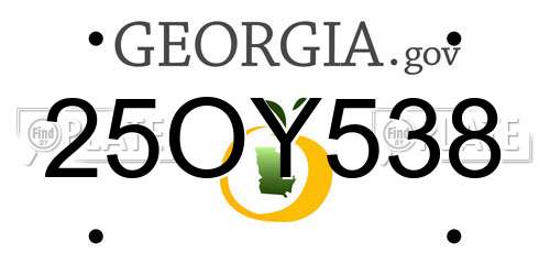 25OY538 Georgia License Plate