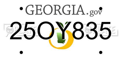 25OY835 Georgia License Plate