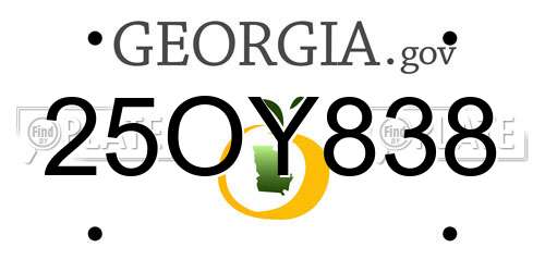 25OY838 Georgia License Plate