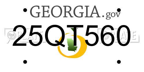 25QT560 Georgia License Plate