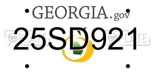 25SD921 Georgia License Plate