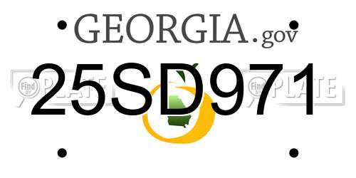 25SD971 Georgia License Plate