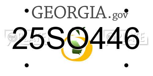 25SO446 Georgia License Plate