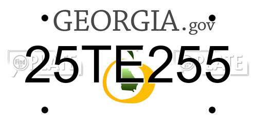 25TE255 Georgia License Plate