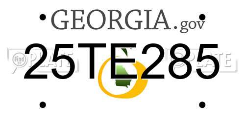 25TE285 Georgia License Plate